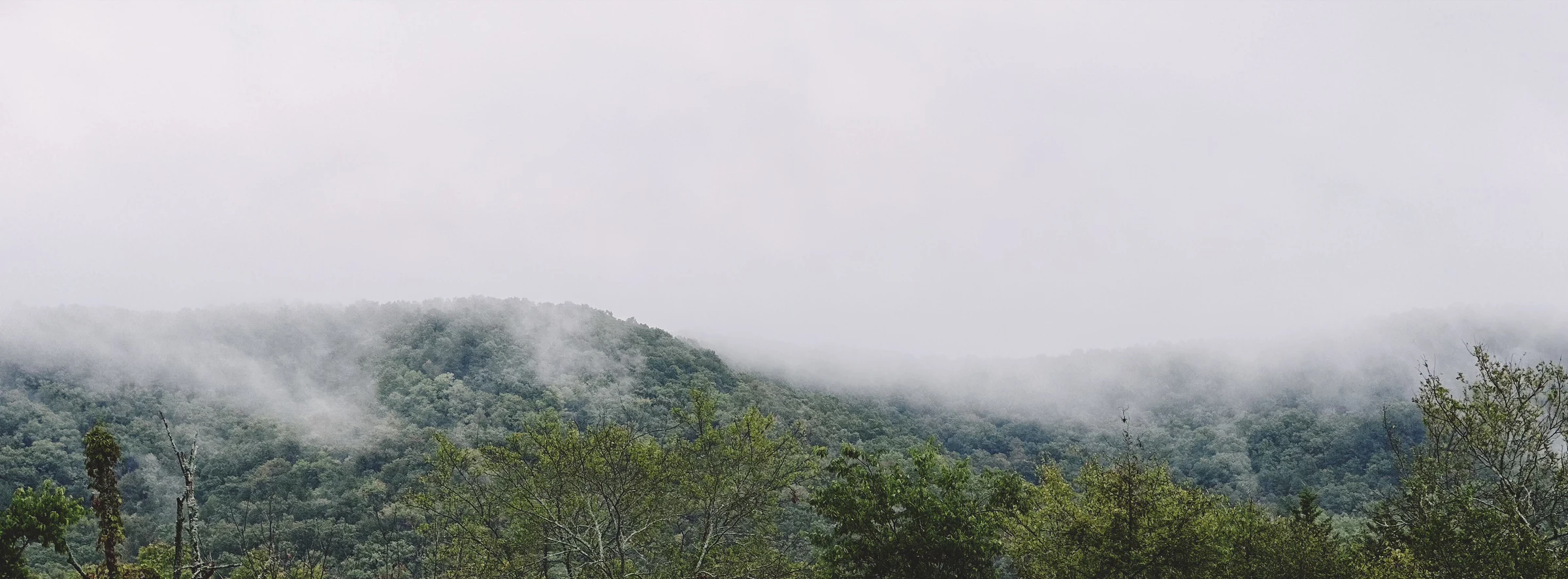 Landscape and Sky
