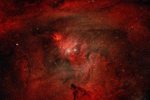 NGC2264-3.jpg
